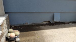 Photo of a house with visibly damaged siding, captured by Legacy Roofers. The image displays extensive wear and tear, including cracked and peeling panels, highlighting the urgent need for siding replacement to restore the home's protection and aesthetics.