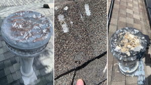 Roof Repair image displaying three types of hail damage on a residential roof: two images show damaged roof vents with visible dents and tears, and one image highlights extensive hail damage to asphalt shingles, characterized by multiple visible punctures and cracks